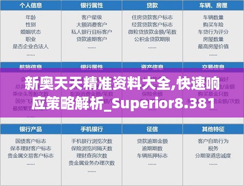 新奥天天精准资料大全,快速响应策略解析_Superior8.381