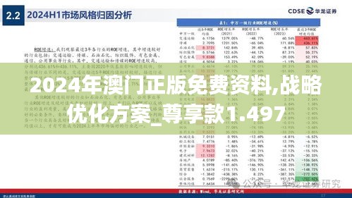 2024年澳门正版免费资料,战略优化方案_尊享款1.497