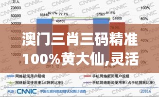 澳门三肖三码精准100%黄大仙,灵活性策略设计_苹果款19.142