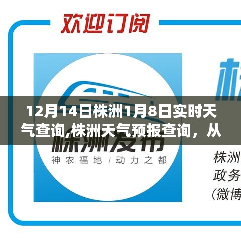 株洲天气预报查询，从12月14日至次年1月8日的详细天气预报指南