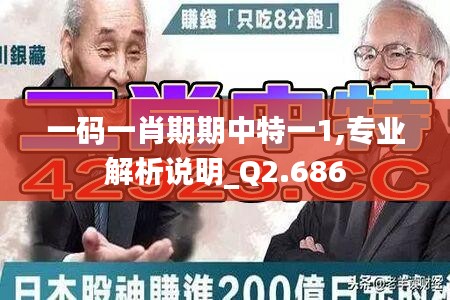 一码一肖期期中特一1,专业解析说明_Q2.686