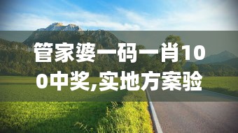 管家婆一码一肖100中奖,实地方案验证_桌面版8.691