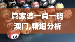 管家婆一肖一码澳门,精细分析解释定义_DX版11.817