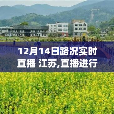 江苏路况实时直播，探寻心灵净土之旅，与自然共舞的道路探秘（12月14日）