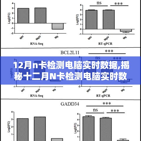 揭秘十二月N卡检测电脑实时数据的三大要点与实时数据解析