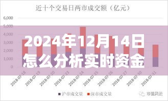 揭秘资金风云，特色小店的实时资金分析与洞悉策略在2024年12月14日的应用之道