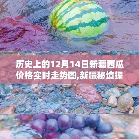 揭秘新疆秘境，探寻西瓜价格的微妙变化与心灵之旅——历史上的十二月十四日实时走势图回顾