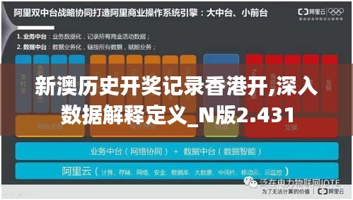 新澳历史开奖记录香港开,深入数据解释定义_N版2.431