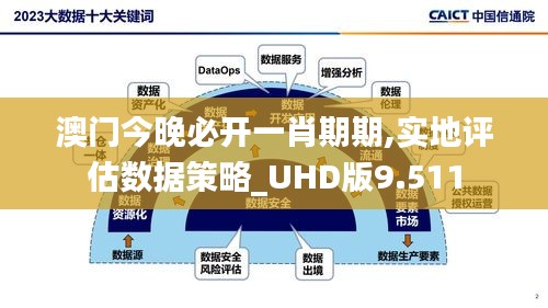 澳门今晚必开一肖期期,实地评估数据策略_UHD版9.511