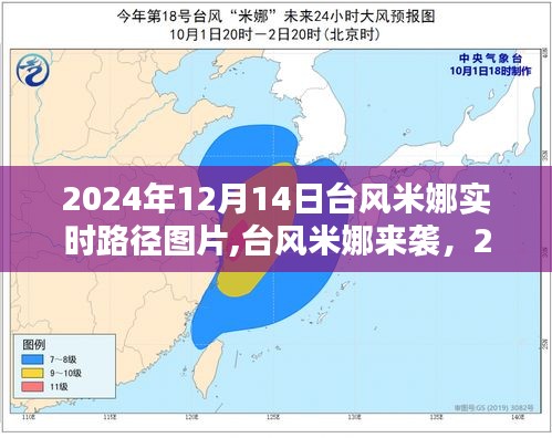 台风米娜来袭，2024年12月14日实时路径图片全解析与预测