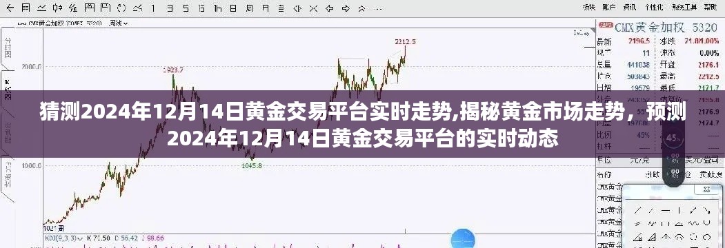 揭秘黄金市场走势，预测黄金交易平台实时动态（2024年12月14日）