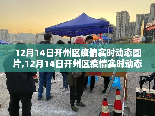 12月14日开州区疫情实时动态图片产品评测及介绍