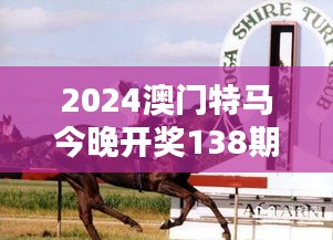 2024澳门特马今晚开奖138期：赛马激情不减，期待更多精彩瞬间！