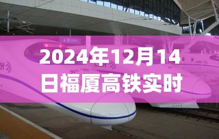 2024年12月17日 第7页