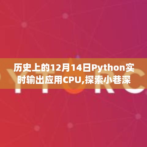 Python实时输出应用CPU，探索科技秘境与小巷深处的奇妙之旅