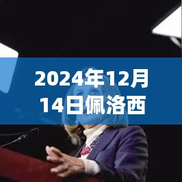 佩洛西访华深度解读，中方实时应对措施与跨领域合作展望（2024年12月版）