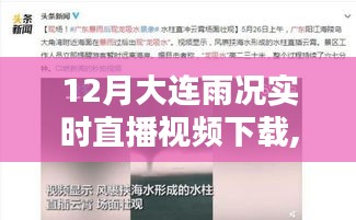 大连雨况实时直播视频下载攻略，从入门到精通，全攻略解析