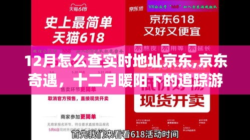 京东奇遇，十二月暖阳下的追踪游戏与实时地址查询指南