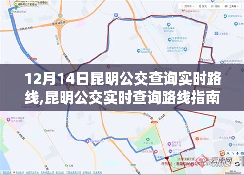 12月14日昆明公交实时路线查询指南，轻松掌握出行信息，无忧出行