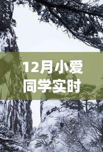 2024年12月17日