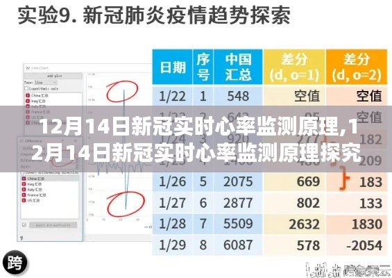 探究新冠病毒实时心率监测原理，技术之光助力抗疫之路