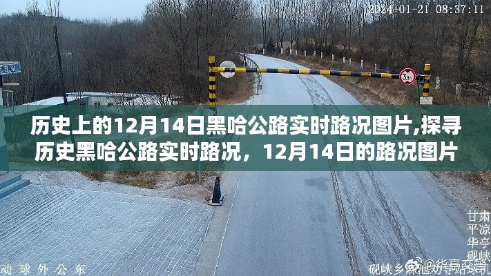 历史黑哈公路12月14日实时路况图片获取指南，从初学者到进阶用户的路况探寻