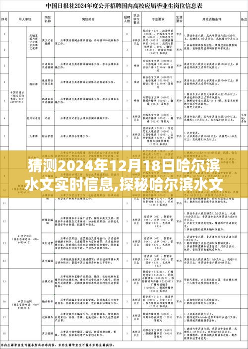 探秘哈尔滨水下小巷，2024年12月18日水文实时信息及奇遇揭秘