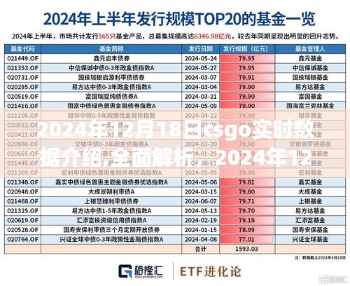 2024年12月18日CSGO实时数据全面解析与深度评测