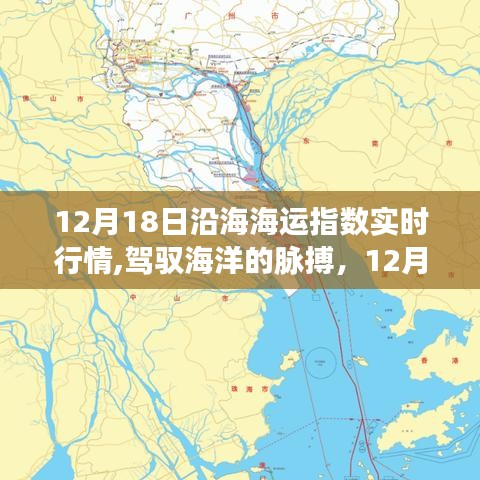 12月18日沿海海运指数实时行情，驾驭海洋经济脉搏的励志故事