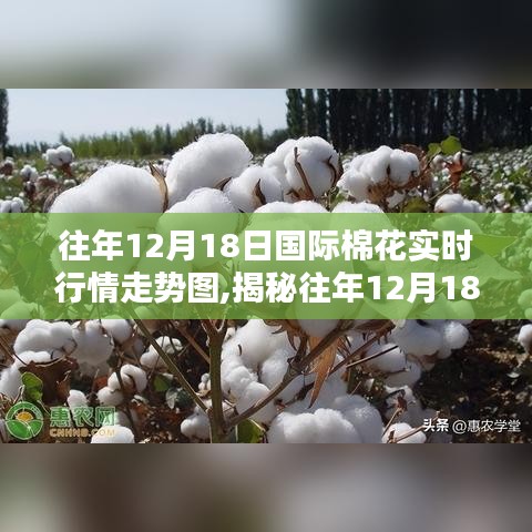 揭秘往年12月18日国际棉花行情走势图，深度解析三大要点与实时行情走势图回顾