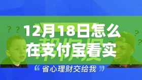 支付宝实时基金动态查看指南，12月18日如何轻松掌握基金信息