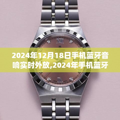 2024年手机蓝牙音响实时外放技术革新与体验展望