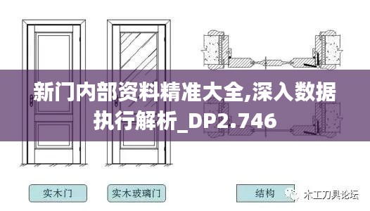 新门内部资料精准大全,深入数据执行解析_DP2.746