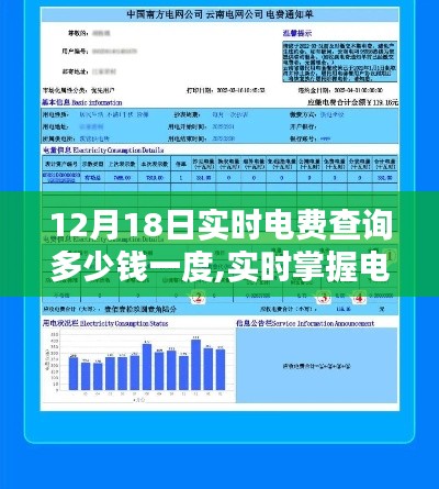 12月18日电费实时查询指南，掌握最新电价动态⚡️