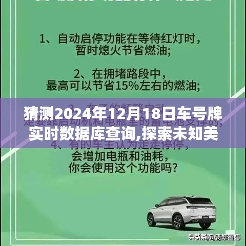 探索未来车牌查询之旅，预测未知美景，启程寻找宁静绿洲的启程点——2024年12月18日实时数据库查询系统探索体验