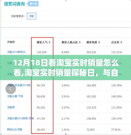 淘宝实时销量探秘日，与自然共舞，探寻内心的宁静胜地