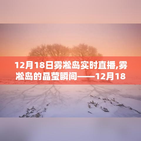 雾凇岛的晶莹瞬间，12月18日实时直播纪实