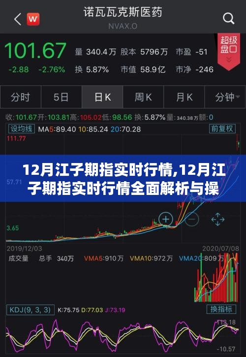 12月江子期指实时行情解析与操作指南