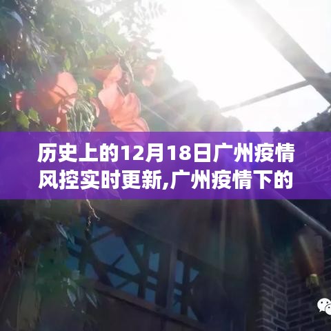 广州疫情下的探索与心灵之旅，12月18日疫情风控下的静谧自然美景与实时更新