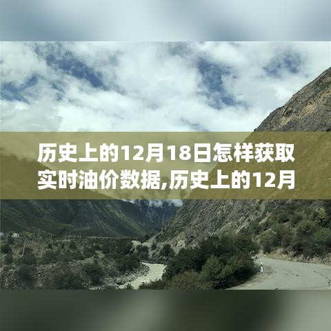 历史上的油价变迁与实时数据获取，心灵之旅启程的油价随行记忆