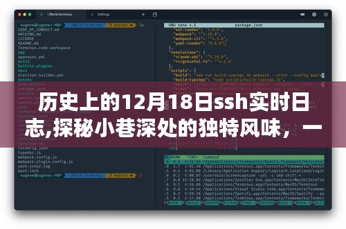 探秘历史实时日志中的特色小店，12月18日SSH日志记录下的独特风味小巷故事