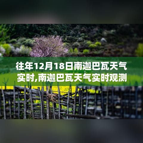 南迦巴瓦天气实时观测与气候特点分析，历史视角及个人观点解读