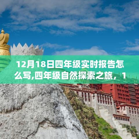 四年级自然探索之旅，12月18日的奇妙时光报告与实时记录