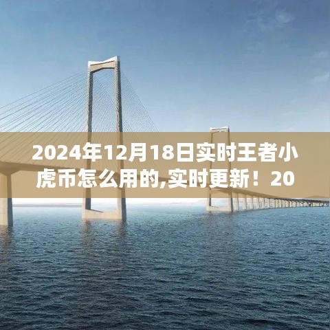 2024年王者小虎币使用指南，实时更新，玩转虚拟世界！