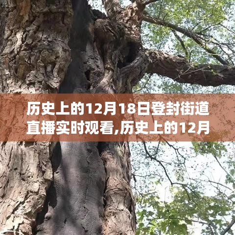 时空交错下的观察与反思，历史上的登封街道直播回顾与实时观看体验分享