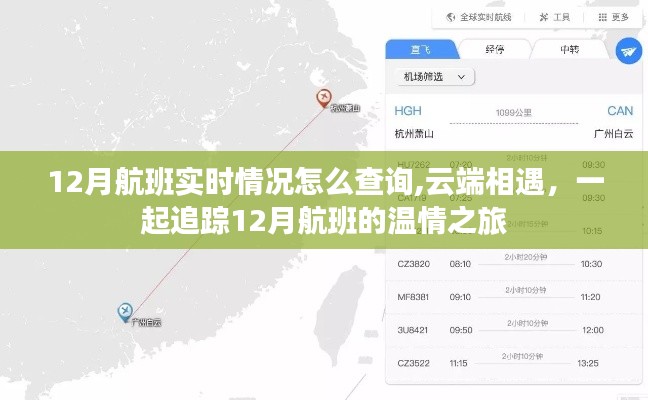 追踪温情之旅，云端相遇查询十二月航班实时动态指南