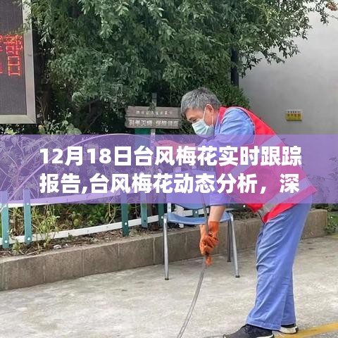 台风梅花动态追踪报告，深度解读与观点阐述（实时更新）