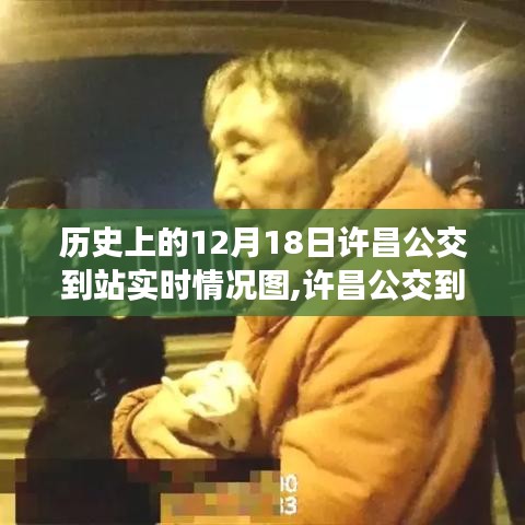 历史视角下的许昌公交到站实时情况深度解析与体验评测，12月18日实时图回顾