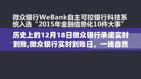 微众银行实时到账日，自然美景与心灵之旅的交汇点