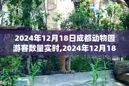 2024年12月18日成都动物园游客数量实时分析，高峰与体验细节探究